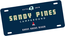 6683a9ad2e6117c63a381f8f_Sandy Pines